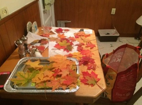 Mỗi gói lá được Kyle bán ra với giá 19,99 USD (tương đương khoảng hơn 400.000 đồng).