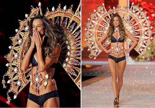 Kham pha it biet ve doi canh cua thien than noi y-Hinh-2