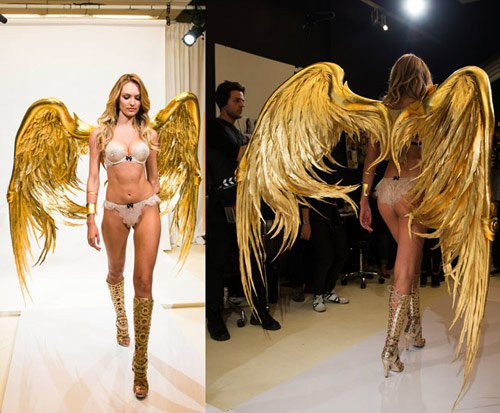 Kham pha it biet ve doi canh cua thien than noi y-Hinh-7