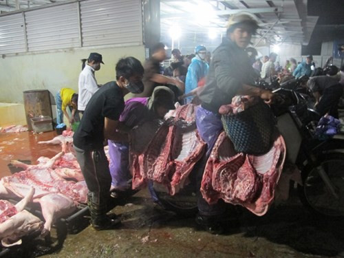 Lợn được giết mổ trên nền xi măng lệt sệt nước lẫn lông, tiết, thịt vụn tại lò giết mổ ở Phụng Châu. Ảnh: Phạm Anh