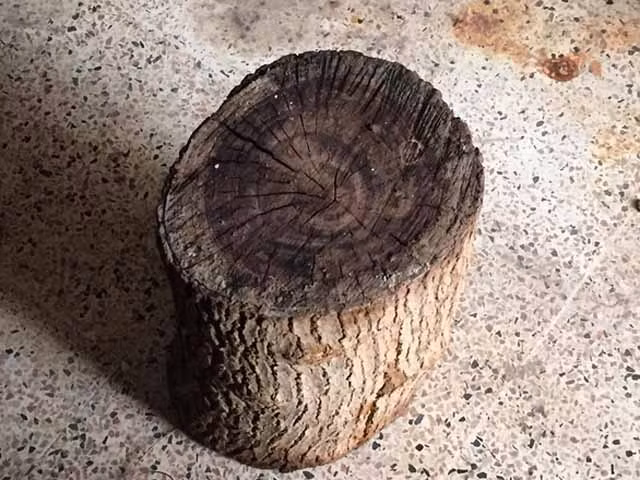 Khúc gỗ IS từng sử dụng để chặt đầu người.