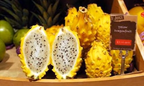 Nguoi Viet chi nghin ty nhap hoa qua: Su that dang