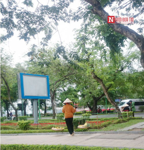 Ngay lập tức "lẩn" đi khi có người chụp ảnh.