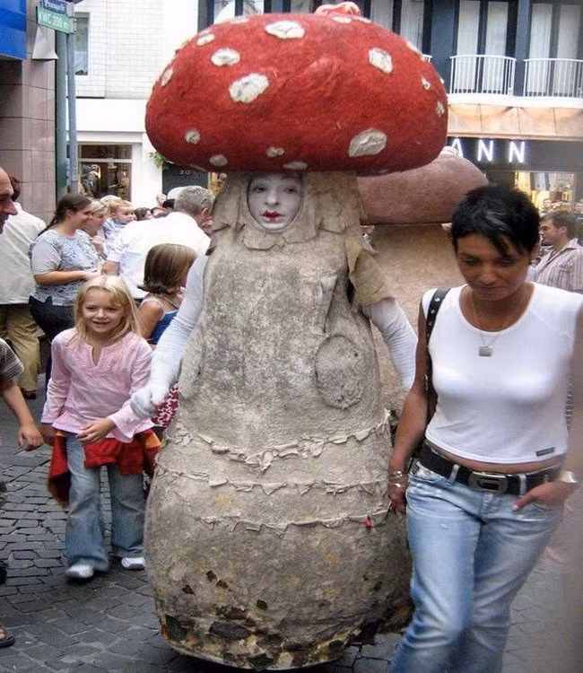 Nấm khổng lồ biết di chuyển kìa.