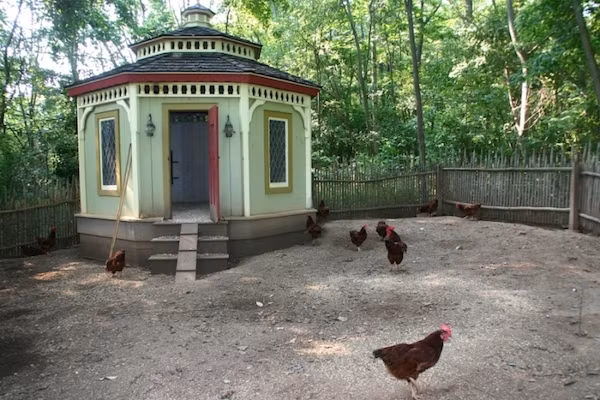 6. Chuồng gà tiện nghi và kiên cố tại một nhà nghỉ ở thành phố Little Washington, Mỹ.