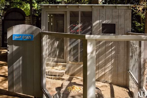 8. Ngôi sao Nicole Richie đã cho xây dựng 1 căn nhà phiên bản thu nhỏ giống hệt ngôi nhà mình đang ở để dành riêng cho những chú gà tại Beverly Hills, Mỹ.