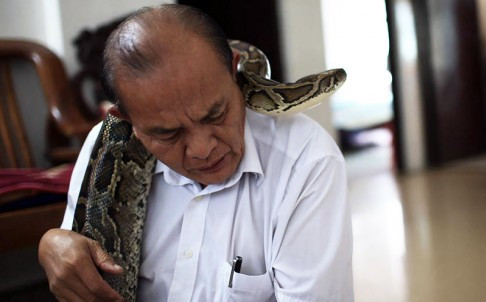 Ông Min sống cùng con trăn suốt 6 năm qua.