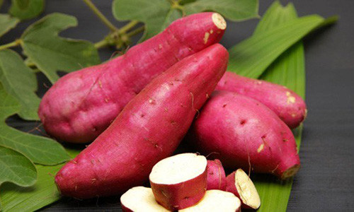 Vi sao an khoai buoi sang tot hon 10 nam uong thuoc bo?