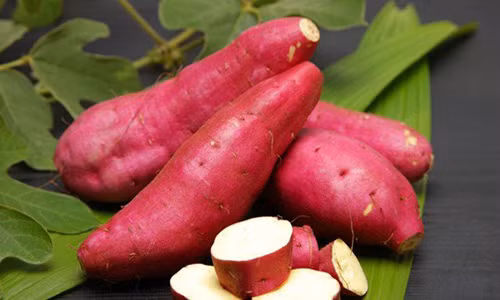 Vì sao ăn khoai buổi sáng tốt hơn 10 năm uống thuốc bổ? Vi sao an khoai buoi sang tot hon 10 nam uong thuoc bo?