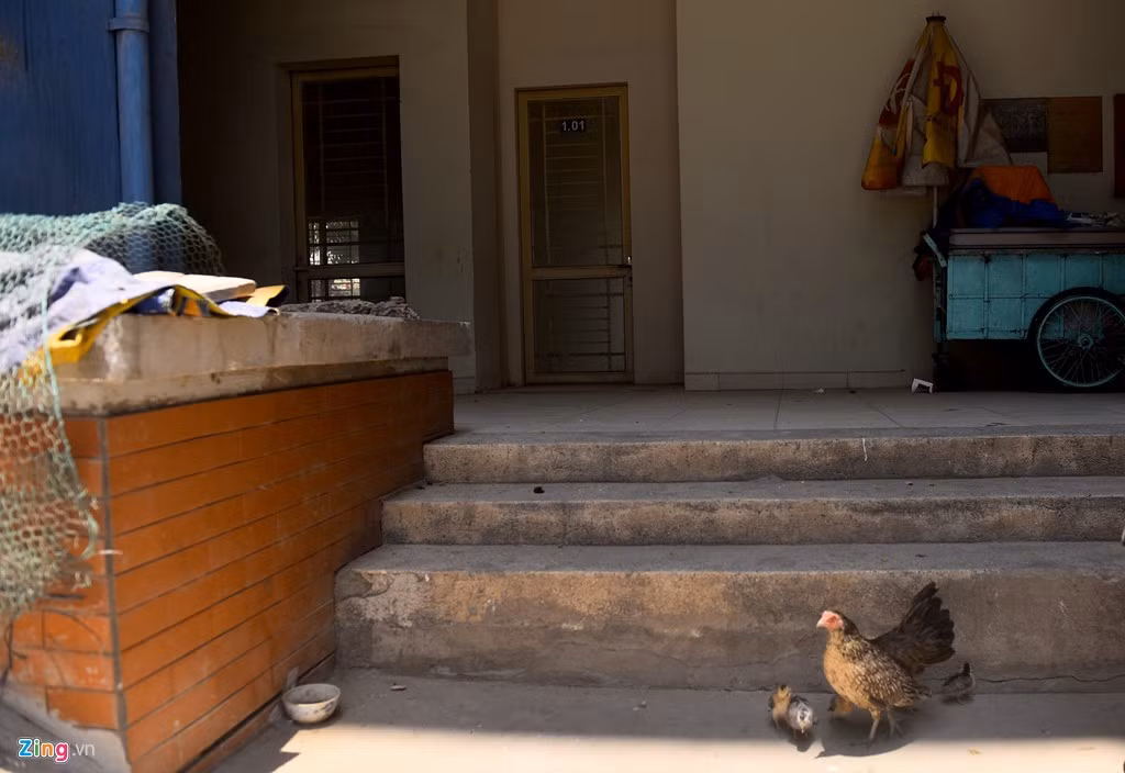 Nhiều hộ dân vẫn có thói quen từ nơi ở cũ khi nuôi gà trong căn hộ, bồn trồng hoa. Những chiếc "cần câu cơm" trước đây của họ như xe hàng rong, xe bán đồ ăn cũng được mang tới để buôn bán tiếp.