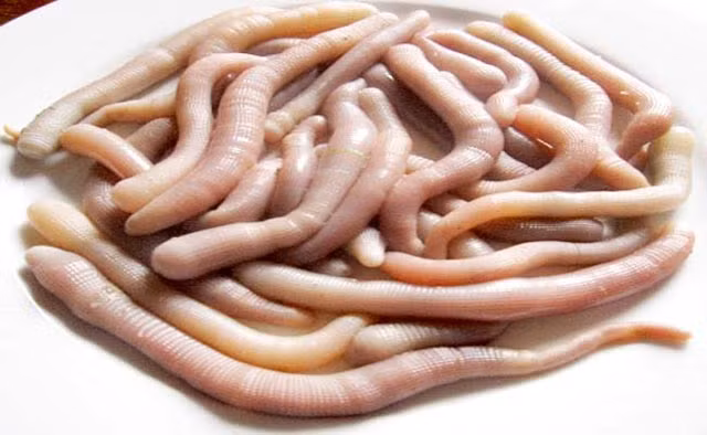 Sa sung - mi chinh sieu dat do cua gioi nha giau