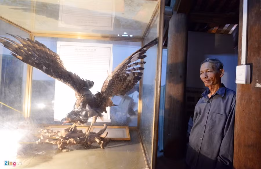 Người dân cho rằng, đó là chim thiêng nên đã phát nguyện góp tiền của thuê thợ ướp xác, thuộc da và cho vào tủ kính để mọi người cùng tưởng nhớ. Chiếc tủ kính cao khoảng 1,2 m, dài 1,5 m, rộng khoảng 80 cm. Trong làng Nhân Mỹ ai cũng tôn trọng gọi là "cụ chim đại bàng" hay "cụ chim ó".