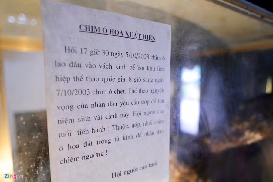 Hiện câu chuyện về chim ó còn được ghi thành văn bản rất rõ ràng, được lưu tại đình Nhân Mỹ: "Hồi 17h30 ngày 5/10/2003 chim ó lao đầu vào vách kính bể bơi Khu Liên hợp Thể thao Quốc gia. 8h sáng ngày 7/10/2003 chim ó chết"...