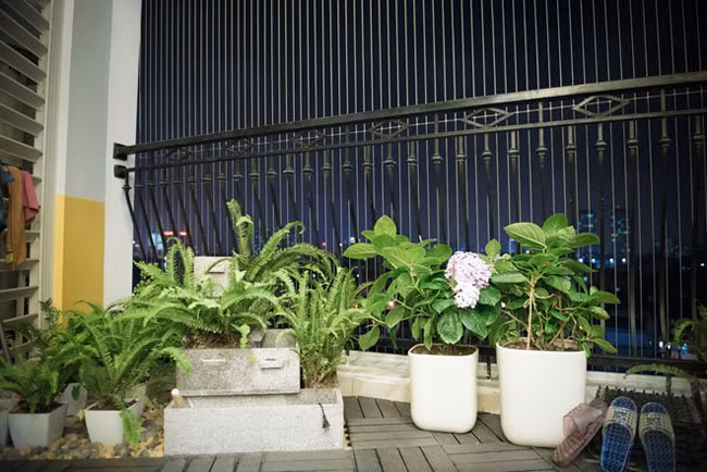 Góc nhỏ ngoài trời với hoa cỏ mà Hải Anh đặc biệt thiết kế cho những phút riêng tư của hai vợ chồng.