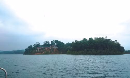 “Đảo sinh tồn” rộng đến 20 héc ta nằm giữa Hồ Thác Bà.