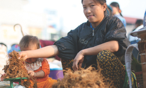 Biet duoc mua xuan cua nguoi H'Mong-Hinh-2