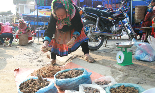 Biet duoc mua xuan cua nguoi H'Mong-Hinh-3