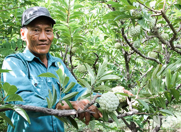 Bien nui da kho can thanh “oc dao” muot xanh cho ca ty dong