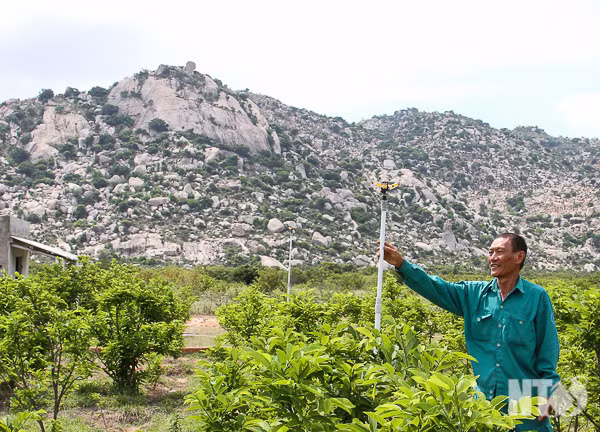 Bien nui da kho can thanh “oc dao” muot xanh cho ca ty dong-Hinh-2