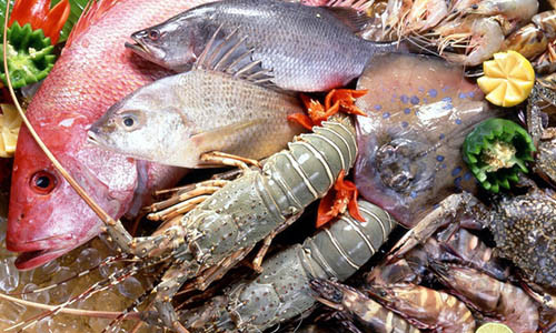 Cach “danh bay” au trung giun san trong hai san