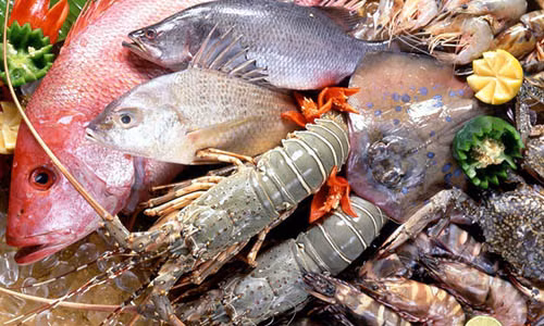 Cach “danh bay” au trung giun san trong hai san