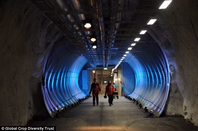 Na Uy xay them “ham chong tan the” gan Bac Cuc-Hinh-2