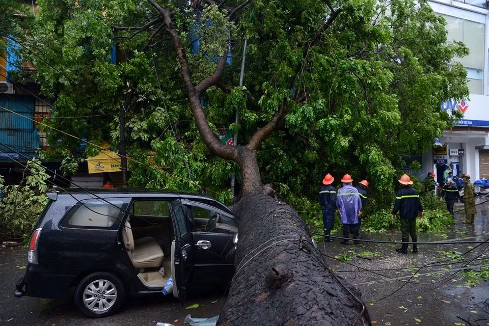 Tháng 7: Cây xà cừ đổ vắt ngang phố Núi Trúc (Hà Nội) sáng 28/7 khi áp thấp hậu bão số 1 (Mirinae) ập vào thủ đô với cường độ mạnh hơn dự kiến. Anh Vũ Thạch (46 tuổi) đưa con gái đi học bằng ôtô qua đầu phố Núi Trúc thì bất ngờ bị một cây cổ thụ bên phải đường bật gốc đổ chắn ngang đường. Dù đã phanh gấp, nhưng thân cây vẫn đè ngang đầu xe đoạn nắp capo và kính trước. Theo phản xạ, anh đạp cửa lao ra ngoài, mở cửa sau đưa con gái thoát ra khỏi xe. Trên một số tuyến phố, cây xanh đổ rạp, nhiều ôtô bị đè bẹp.Ảnh: Tiến Tuấn.