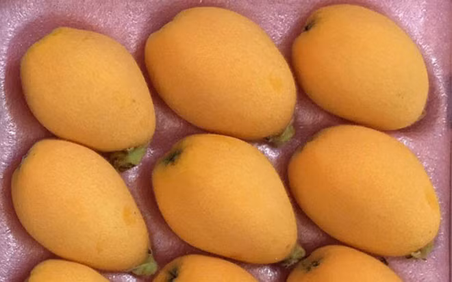 Các cửa hàng thường bán với giá 1,3 triệu đồng một hộp 500gram cho đa phần là khách có thu nhập cao. (Ảnh: Kienthuc)