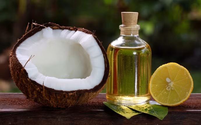 Chi can 1 qua chanh gau bien mat hoan toan