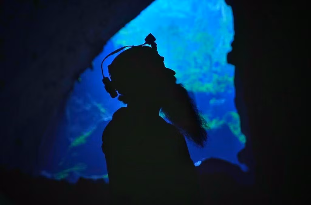 Để đến được đây đạo diễn Kong: Skull Island đã phải vượt qua 50 km đường rừng núi, leo dốc cao 400 m, vượt sông rộng, sông ngầm có dòng chảy mạnh nhiều lần, đi 10 km trong hang với địa hình phức tạp và đu dây 80 m với sự hỗ trợ của dây thừng và dây đai.