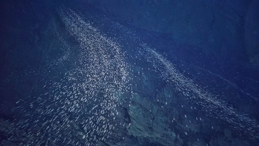 "Một trong những điểm đẹp và thoải mái nhất đối với tôi là xem những dòng suối nhỏ đổ xuống từ trần hang động, cách tôi khoảng 33 m. Khoảng cách này rất xa và hang động có rất nhiều gờ đá rộng, bạn có thể nằm trên mặt đất và ngắm những thác nước cỡ nhỏ nhảy múa xung quanh bầu trời và chuyển hướng chầm chậm cho tới khi chúng rơi xuống người bạn. Thực sự rất đáng nhớ", Jordan Vogt-Roberts chia sẻ trên Instagram cá nhân.