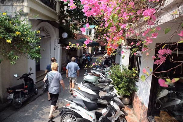 Dưới ánh nắng vàng dịu nhẹ trong vắt của mùa Thu, nhiều tuyến phố ở Hà Nội như bừng sáng bởi vẻ đẹp dịu dàng, duyên dáng của những giàn hoa giấy bung nở. Hoa giấy, loài hoa mang màu sắc rực rỡ nhưng cũng rất nhẹ nhàng, bình yên. Từng giàn hoa giấy thả mình trên phố, đung đưa theo gió hoà vào nhịp sống thường ngày như chứng kiến mọi sự đổi thay qua năm tháng của Thủ đô.