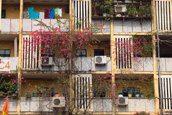 Hay ở lan can một khu tập thể cũ.