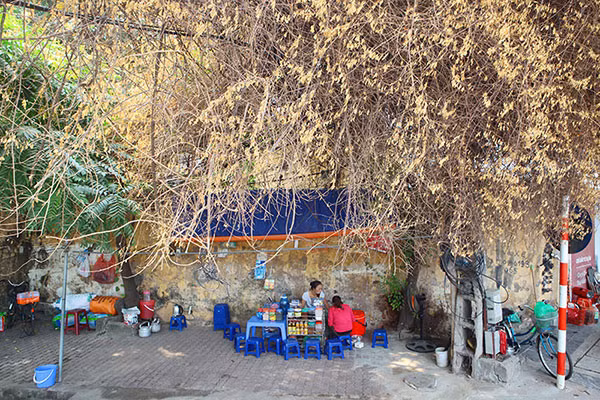 Giàn hoa giấy này vốn đã gắn bó với cuộc sống của nhiều người dân con phố hàng Bún hay những ai thường đi qua đây. Dưới tán cây là nơi ngày hè che nắng, ngày đông chắn gió hay che mưa cho biết bao người qua đường.