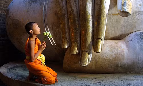 Loi phat day ve nhan qua bao ung