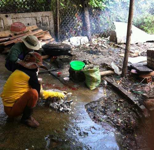 Lat tay chieu nho long ga, vit “sieu nhanh”-Hinh-2