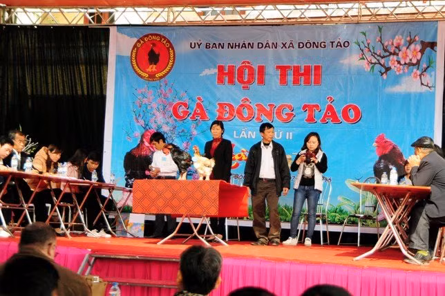 Sáng 17/1, Hội thi gà Đông Tảo đã diễn ra tại xã Đông Tảo (Khoái Châu, Hưng Yên). Đây là lần thứ 2 cuộc thi được tổ chức nhằm tìm ra con “gà tiến vua” đẹp nhất.