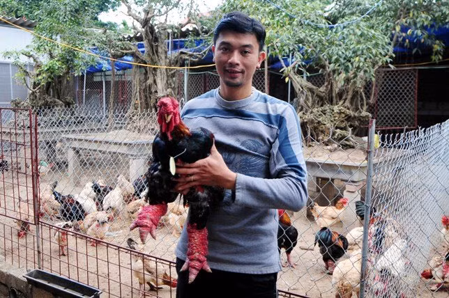 Chủ nhân và chú gà đạt giải quán quân.