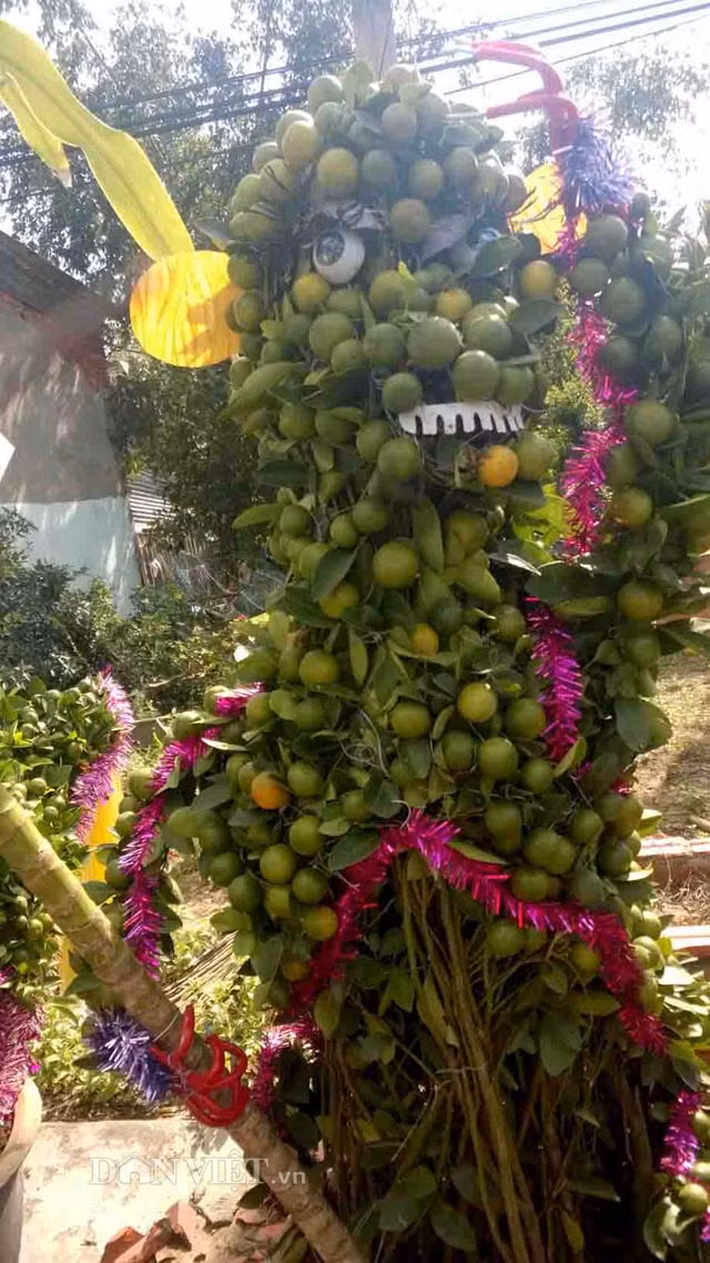 Tuy nhiên, một số người vẫn quyết định tạo luôn hình mặt khỉ từ cây quất.