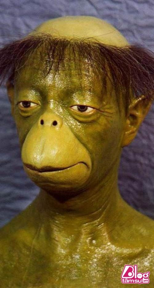 Có vẻ nó rất giống với một nhân vật hoạt hình nổi tiếng của Nhật Bản, Kappa, một loại sinh vật giống bò sát, sinh sống quanh các vùng ao hồ. Chúng thường có mỏ và bị hói trên đỉnh đầu, tại nơi bị hói, chúng đội một chiếc "đĩa".