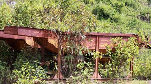 Chuyen it biet ve “de che da do” khet tieng mot thoi