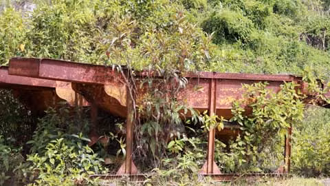 Chuyen it biet ve “de che da do” khet tieng mot thoi