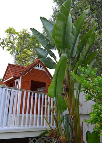 Căn nhà của Thu Phương có sân vườn rộng rãi, gần gũi với thiên nhiên và được xây cất không quá cầu kỳ.