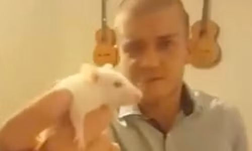 Thanh nien Uc an dau chuot song, phat video len Facebook