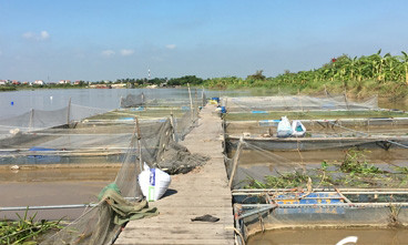 Bi an ca khong lo nang 3 ta quan thao song Kinh Mon