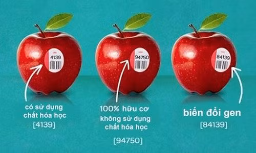 Cach nhan biet thuc pham bien doi gene