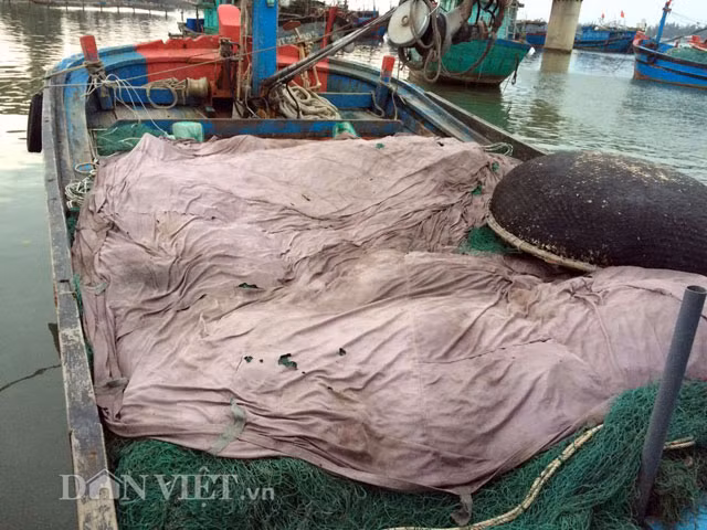 Bun “la” lam hai ngu dan Quang Tri