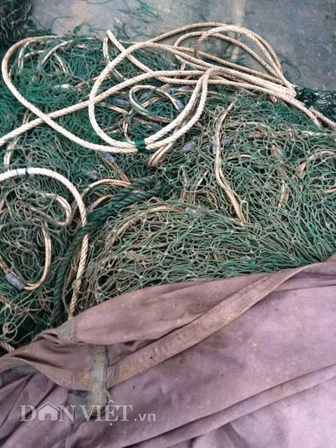 Bun “la” lam hai ngu dan Quang Tri-Hinh-2