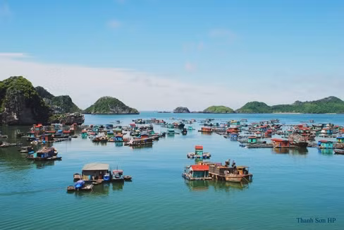 Ly ky cuoc chien voi quai vat khong lo o dao Cat Ba