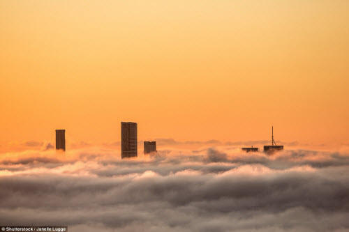 Chỉ có những tòa nhà cao nhất mới có thể xuyên qua màn mây mù để đón nắng sớm tại thành phố Brisbane, Australia.